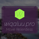 wiqaluu.pro